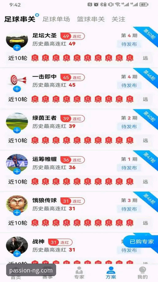 掌握NG体育下载官方下载的实用技巧：从安装到赛事观看的完整指南